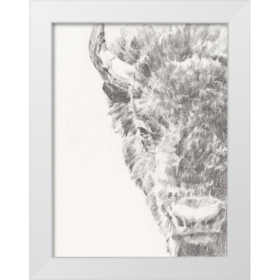 Harper, Ethan 12x14 White Modern Wood Framed Museum Art Print Titled - Graphite Bison Portrait I