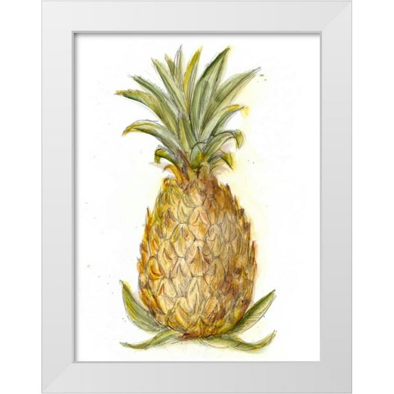Harper, Ethan 12x14 White Modern Wood Framed Museum Art Print Titled - Pineapple Sketch I