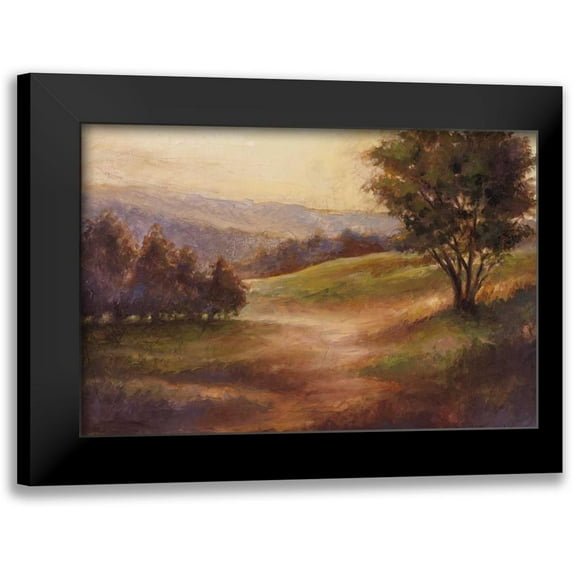 Harper, Ethan 14x11 Black Modern Framed Museum Art Print Titled - Foothills of Appalachia II