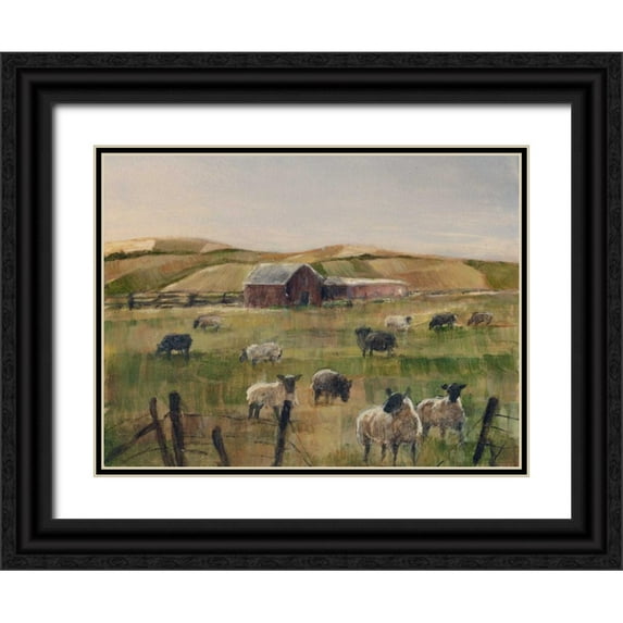 Harper, Ethan 14x12 Black Ornate Wood Framed with Double Matting Museum Art Print Titled - Grazing Sheep II