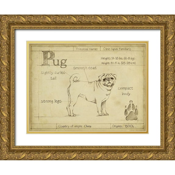 Harper, Ethan 14x12 Gold Ornate Wood Framed with Double Matting Museum Art Print Titled - Antique Pug (ASH)
