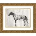 thumbnail image 1 of Harper, Ethan 14x12 Gold Ornate Wood Framed with Double Matting Museum Art Print Titled - Appaloosa Study II, 1 of 4