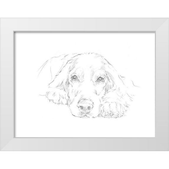 Harper, Ethan 14x12 White Modern Wood Framed Museum Art Print Titled - Lazy Dog II
