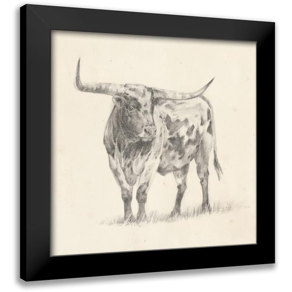 Harper, Ethan 15x15 Black Modern Framed Museum Art Print Titled - Longhorn Steer Sketch II