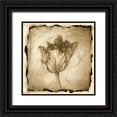 thumbnail image 1 of Harper, Ethan 15x15 Black Ornate Wood Framed with Double Matting Museum Art Print Titled - Floral Impression II, 1 of 4