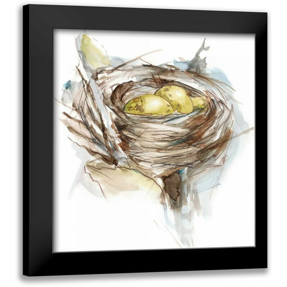 Harper, Ethan 15x16 Black Modern Framed Museum Art Print Titled - Bird Nest Study III