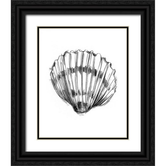 Harper, Ethan 15x18 Black Ornate Wood Framed with Double Matting Museum Art Print Titled - UA CH Shell Sketch VI
