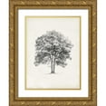 thumbnail image 1 of Harper, Ethan 15x18 Gold Ornate Wood Framed with Double Matting Museum Art Print Titled - Vintage Arbor Study II, 1 of 4