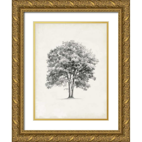 Harper, Ethan 15x18 Gold Ornate Wood Framed with Double Matting Museum Art Print Titled - Vintage Arbor Study II