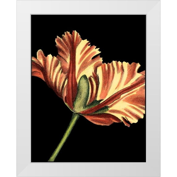 Harper, Ethan 15x18 White Modern Wood Framed Museum Art Print Titled - Vibrant Tulips I