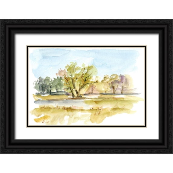 Harper, Ethan 18x13 Black Ornate Wood Framed with Double Matting Museum Art Print Titled - Vibrant Watercolor I