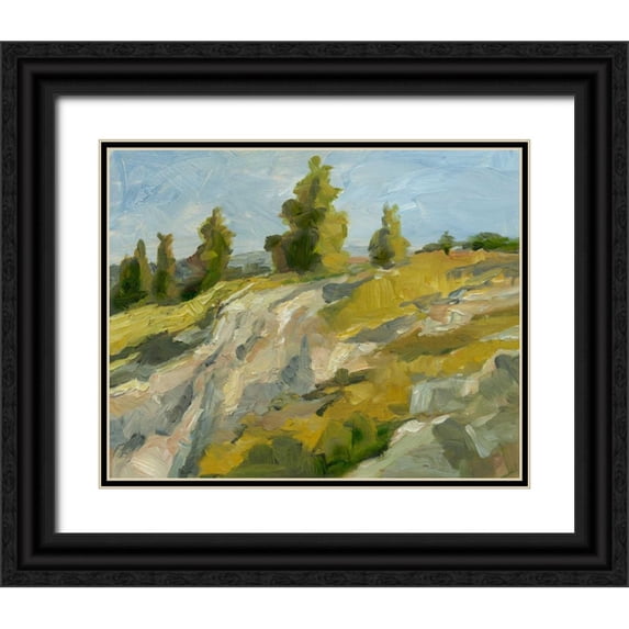 Harper, Ethan 18x15 Black Ornate Wood Framed with Double Matting Museum Art Print Titled - Impasto Mountainside II