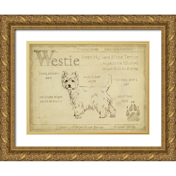 Harper, Ethan 18x15 Gold Ornate Wood Framed with Double Matting Museum Art Print Titled - Antique Westie (ASH)