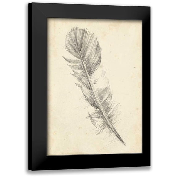 Harper, Ethan 18x24 Black Modern Framed Museum Art Print Titled - Feather Sketch I