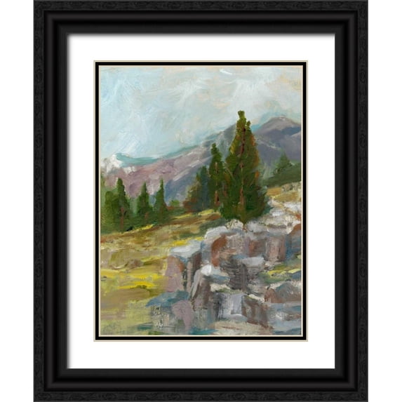 Harper, Ethan 19x24 Black Ornate Wood Framed with Double Matting Museum Art Print Titled - Rocky Hillside II