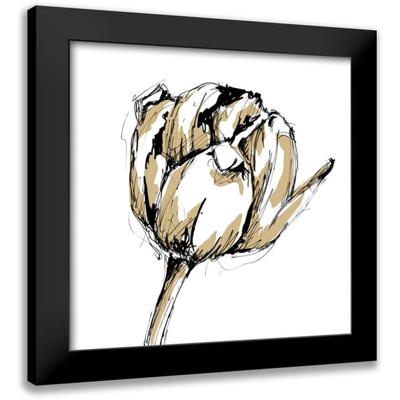 Harper, Ethan 20x20 Black Modern Framed Museum Art Print Titled - Small Tulip Sketch II