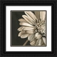 thumbnail image 1 of Harper, Ethan 20x20 Black Ornate Wood Framed with Double Matting Museum Art Print Titled - Classical Blooms IV, 1 of 4