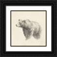 thumbnail image 1 of Harper, Ethan 20x20 Black Ornate Wood Framed with Double Matting Museum Art Print Titled - Western Bear Study, 1 of 4