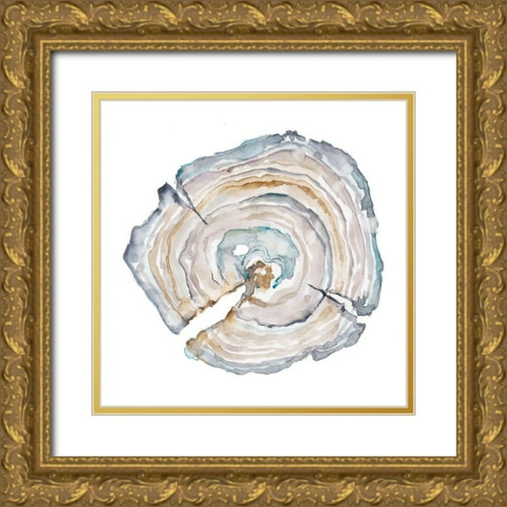 Harper, Ethan 20x20 Gold Ornate Wood Framed with Double Matting Museum Art Print Titled - Watercolor Tree Ring I