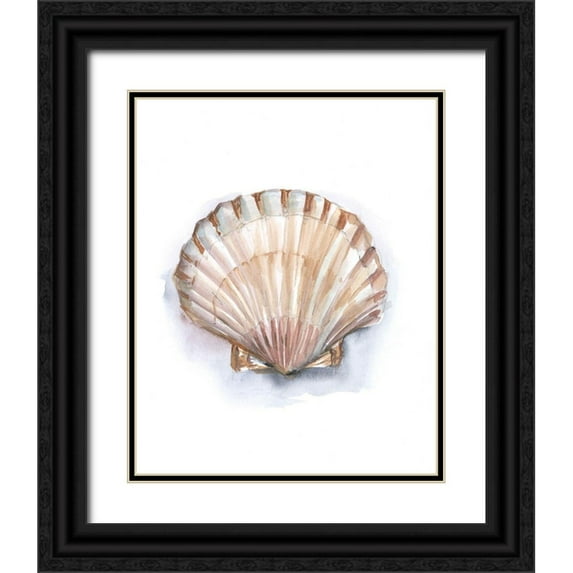 Harper, Ethan 20x24 Black Ornate Wood Framed with Double Matting Museum Art Print Titled - Pastel Shell Collection III