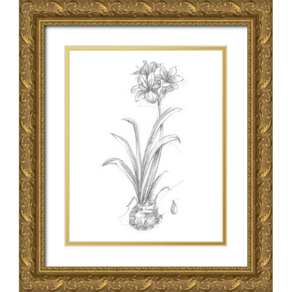 Harper, Ethan 20x24 Gold Ornate Wood Framed with Double Matting Museum Art Print Titled - Botanical Sketch II
