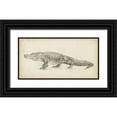thumbnail image 1 of Harper, Ethan 24x14 Black Ornate Wood Framed with Double Matting Museum Art Print Titled - Alligator Sketch, 1 of 4