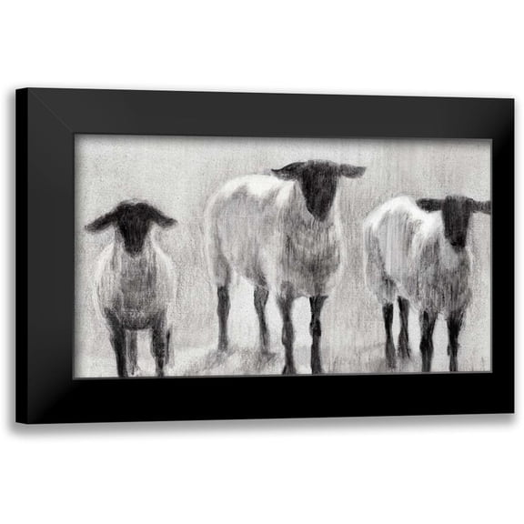 Harper, Ethan 24x15 Black Modern Framed Museum Art Print Titled - Rustic Sheep II