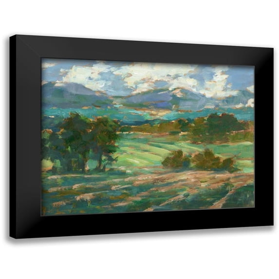 Harper, Ethan 24x19 Black Modern Framed Museum Art Print Titled - Rolling Farmland I