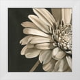 thumbnail image 1 of Harper, Ethan 26x26 White Modern Wood Framed Museum Art Print Titled - Classical Blooms IV, 1 of 4