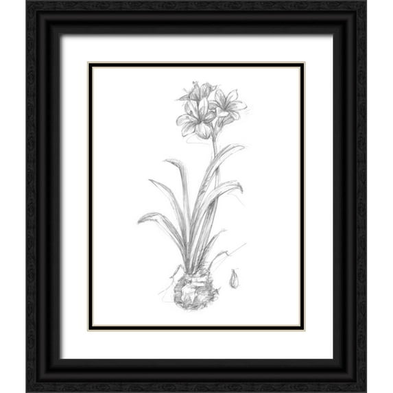 Harper, Ethan 26x32 Black Ornate Wood Framed with Double Matting Museum Art Print Titled - Botanical Sketch II
