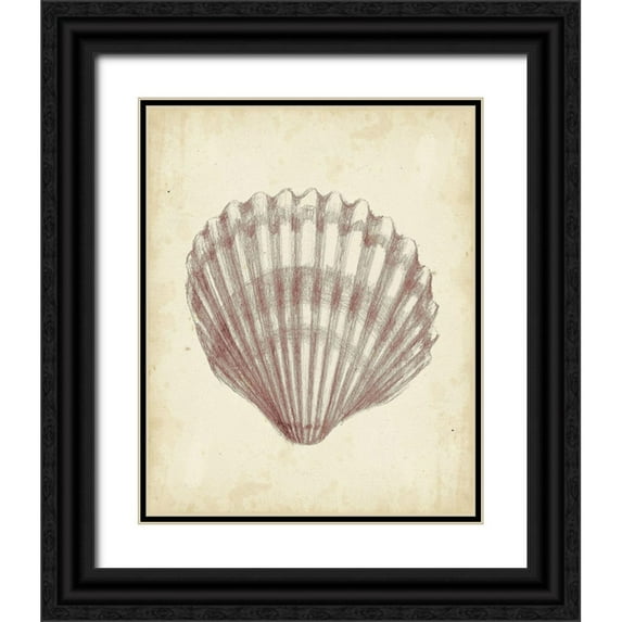 Harper, Ethan 26x32 Black Ornate Wood Framed with Double Matting Museum Art Print Titled - Custom Antique Shell Study III (ASH)