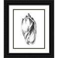 thumbnail image 1 of Harper, Ethan 26x32 Black Ornate Wood Framed with Double Matting Museum Art Print Titled - UA CH Shell Sketch II, 1 of 4