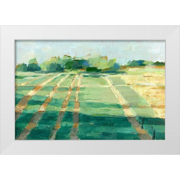 Harper, Ethan 32x23 White Modern Wood Framed Museum Art Print Titled - Mid Summer Shadows I
