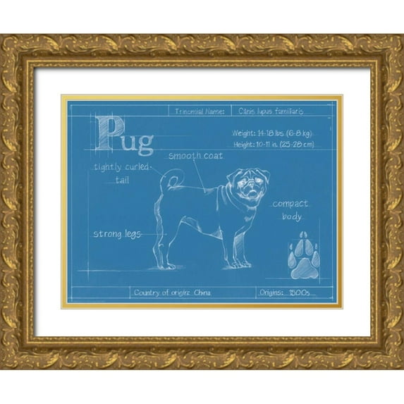 Harper, Ethan 32x25 Gold Ornate Wood Framed with Double Matting Museum Art Print Titled - Blueprint Pug