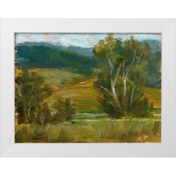 Harper, Ethan 32x25 White Modern Wood Framed Museum Art Print Titled - Changing Sunlight IV