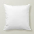 Harper Lane Decorative Pillow Insert 22x22