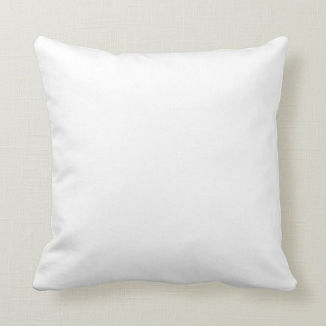 Harper Lane Decorative Pillow Insert 22x22