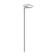 thumbnail image 1 of Harpi Plant Support Stakes, Plant Stakes for Outdoor Plants, Garden Plant Bracket Climbing Iron Support Wire Metal Circular Indoor and Outdoor Fixing Rod, 1 of 8