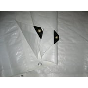 Harpster Tarps 10 x 30 Heavy Duty White 6 oz. Poly Tarp 12 Mil