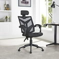 thumbnail image 1 of Harriet Adjustable Ergonomic Office Mesh Chair by Naomi Home - Color: Black, 1 of 8