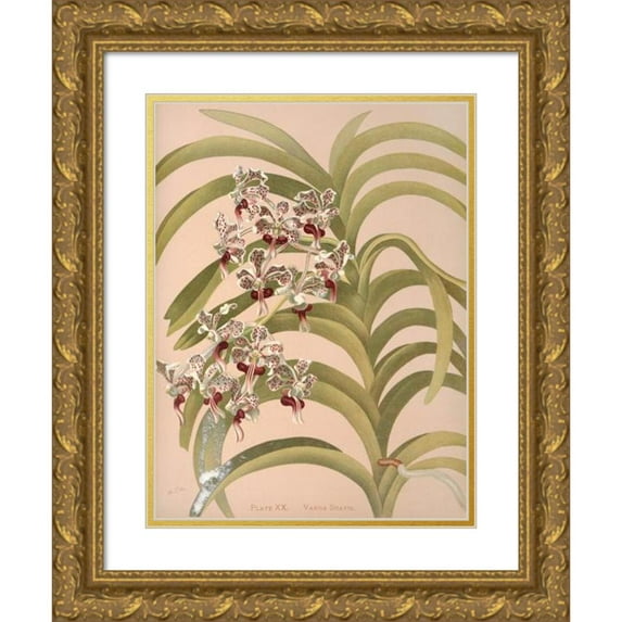 Harriet Stewart Miner 15x18 Gold Ornate Wood Frame and Double Matted Museum Art Print Titled - Vanda Sweet (1885)