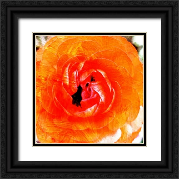 Harrington, Danielle 15x15 Black Ornate Wood Framed with Double Matting Museum Art Print Titled - Relatives III
