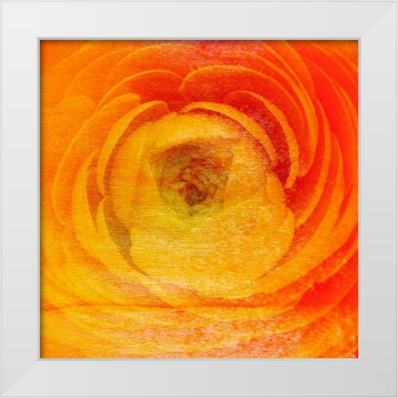Harrington, Danielle 15x15 White Modern Wood Framed Museum Art Print Titled - Relatives I