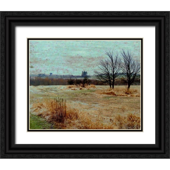 Harrington, Danielle 18x15 Black Ornate Wood Framed with Double Matting Museum Art Print Titled - Fields II