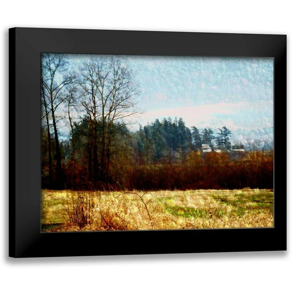 Harrington, Danielle 24x19 Black Modern Framed Museum Art Print Titled - Land I