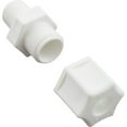 thumbnail image 1 of Pentair R172029 1/4-Inch NPT Male Tube Fitting Replacement Rainbow Automatic Chlorine/Bromine Pool and Spa Feeder, 1 of 3
