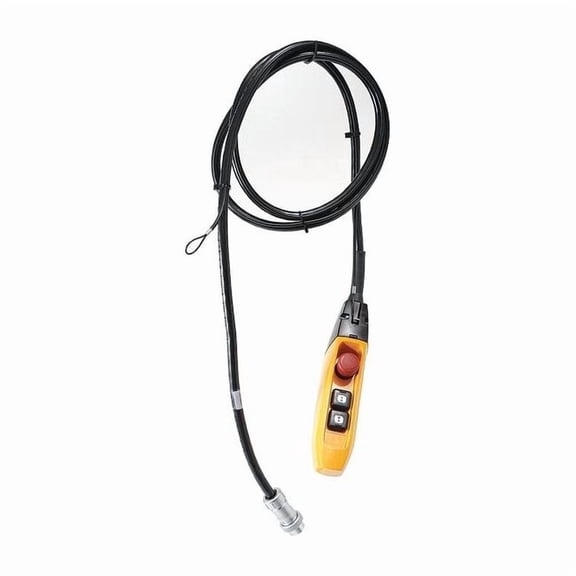 Pendant,110V,2 Functions ZB20025I5025
