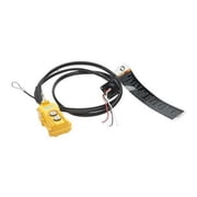 Pendant,2 Button,6 ft. Cable Drop ER1ES155710