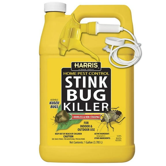 Harris Stink Bug Killer, Liquid Spray with Odorless and Non-Staining Extended Residual Kill Formula for Insects (Gallon)