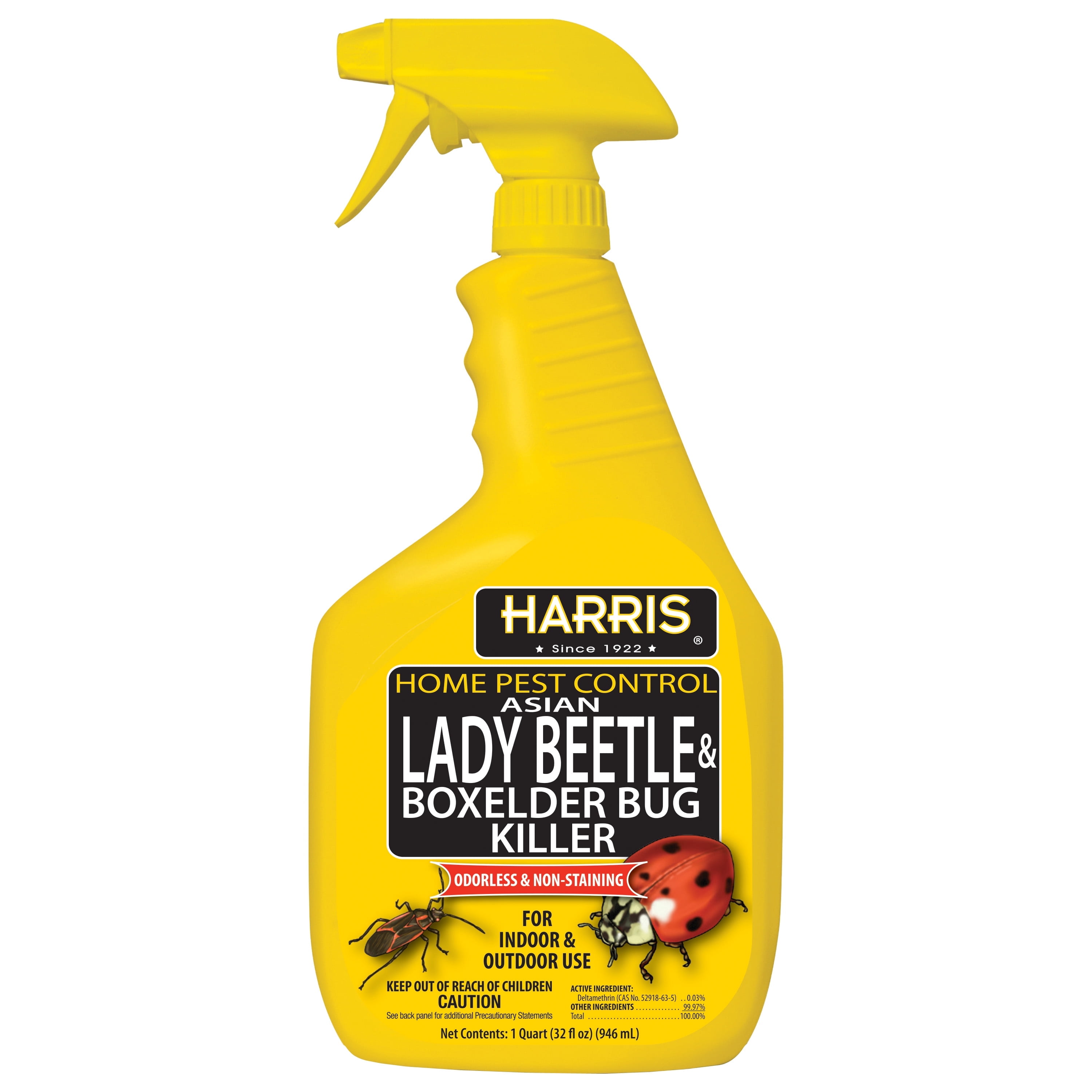 Asian Lady Beetle & Box Elder Bug Killer, 32 oz., Harris, HBXA-32